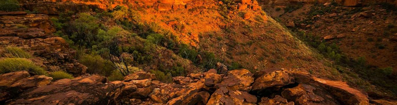 chemical-banner-image